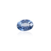 Ceylon Sapphire other gemstone