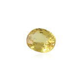 Yellow Ceylon Sapphire other gemstone 0,483 ct