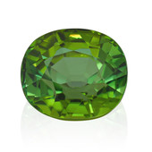 Green Tourmaline other gemstone 9.72 ct