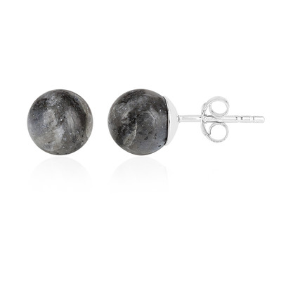 Larvikite Silver Earrings