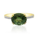 9K Green apatite Gold Ring (Tenner Diniz)