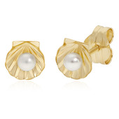9K Freshwater pearl Gold Earrings