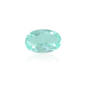 Paraiba Tourmaline other gemstone 0.534 ct