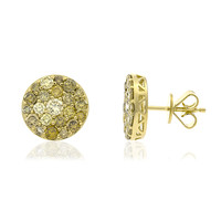 14K SI2 Fancy Diamond Gold Earrings (CIRARI)