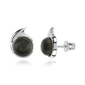 Black Oak Silver Earrings (dagen)