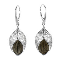 Black Oak Silver Earrings