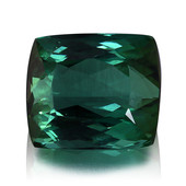 Green Tourmaline other gemstone 13,37 ct