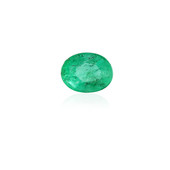 Zambian Emerald other gemstone 0,284 ct