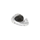 Black Oak Silver Ring (dagen)