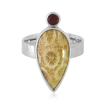 Petrified Coral Silver Ring