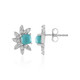 Sleeping Beauty Turquoise Silver Earrings