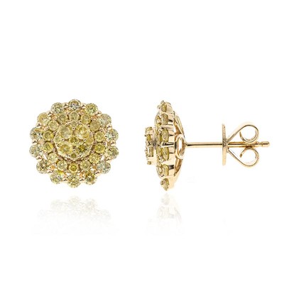 14K SI2 Yellow Diamond Gold Earrings (CIRARI)
