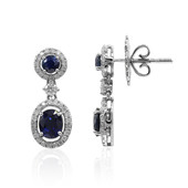 18K Blue Sapphire Gold Earrings (Estée Collection)