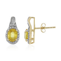 9K Yellow Sapphire Gold Earrings (Adela Gold)