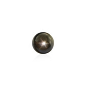Black Star Sapphire other gemstone 2,925 ct