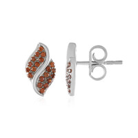 Champagne Zircon Silver Earrings