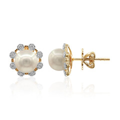 9K Akoya Pearl Gold Earrings (TPC)