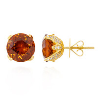 18K AAA Spessartite Gold Earrings (de Melo)