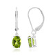 Burmese Peridot Silver Earrings