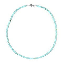 Blue Magnesite Silver Necklace