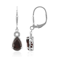 Garnet Silver Earrings