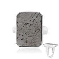 Aletai-Meteorite Silver Ring