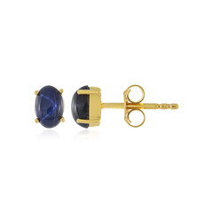 Blue Star Sapphire Silver Earrings