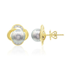 9K Tahitian Pearl Gold Earrings (TPC)