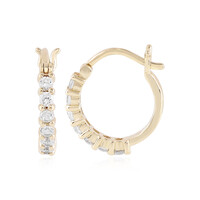 9K Zircon Gold Earrings
