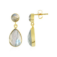Labradorite Silver Earrings