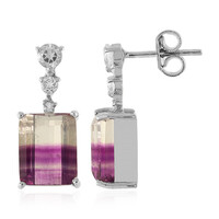 Bi Colour Fluorite Silver Earrings
