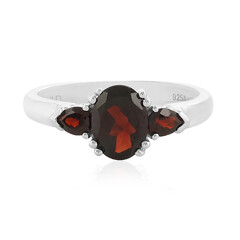 Mozambique Garnet Silver Ring