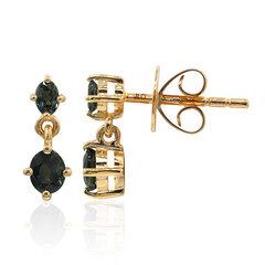 9K Teal Queensland Sapphire Gold Earrings (Mark Tremonti)