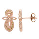 Fancy Diamond Silver Earrings