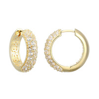 Zircon Silver Earrings