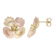 9K Gold Earrings