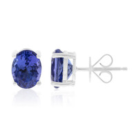 14K AAA Tanzanite Gold Earrings (CIRARI)