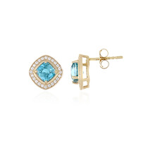 9K Ratanakiri Zircon Gold Earrings (Adela Gold)