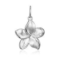 9K Gold Charm