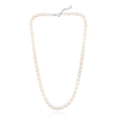 White Freshwater Pearl Silver Necklace (TPC)