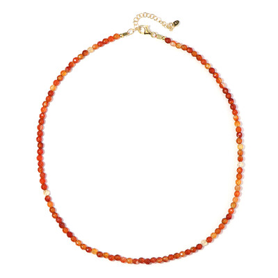 Carnelian Silver Necklace