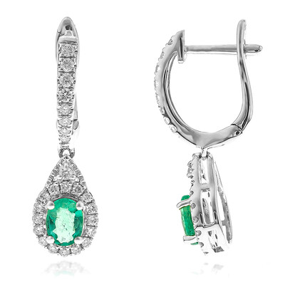 14K AAA Zambian Emerald Gold Earrings (CIRARI)