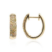 14K SI2 Fancy Diamond Gold Earrings (CIRARI)