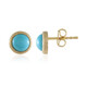 Sleeping Beauty Turquoise Silver Earrings (Faszination Türkis)