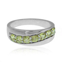 Mali Garnet Silver Ring