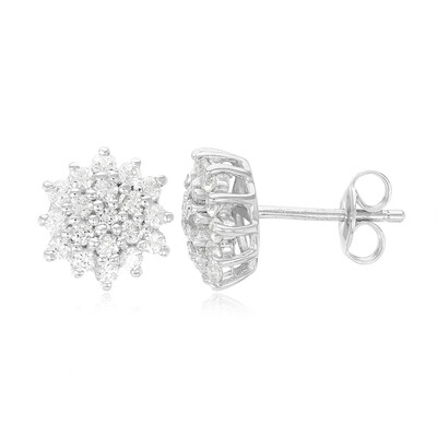 Zircon Silver Earrings