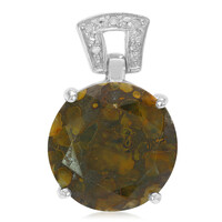 Dinosaur Bone Silver Pendant