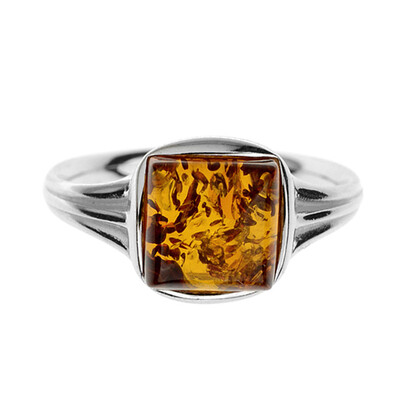 Baltic Amber Silver Ring (dagen)