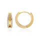 Zircon Silver Earrings