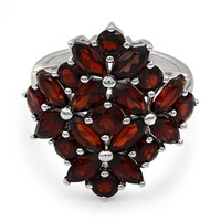 Mozambique Garnet Silver Ring